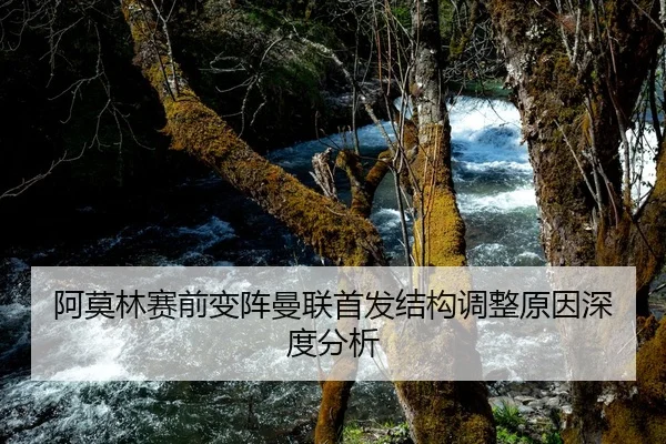 阿莫林赛前变阵曼联首发结构调整原因深度分析