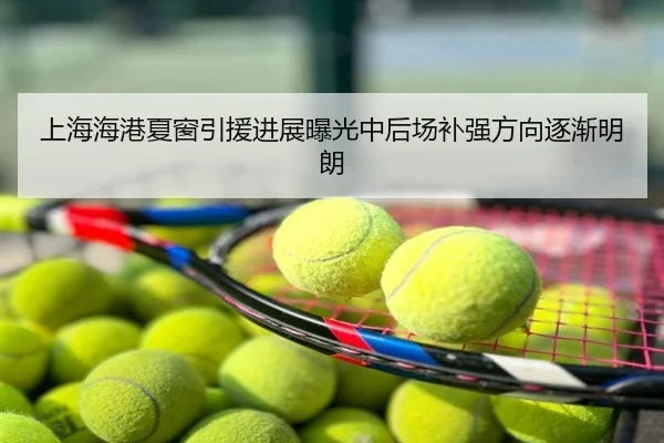 上海海港夏窗引援进展曝光中后场补强方向逐渐明朗